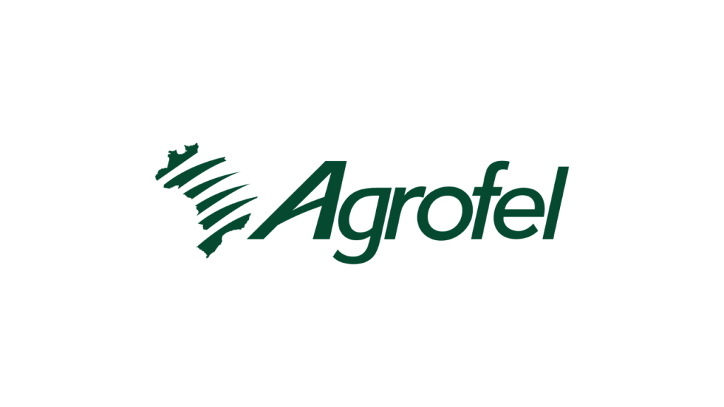 Agrofel realiza logística e transporte de itens para que as famílias retomarem suas rotinas do RS
